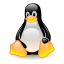 Linux Perl Script Perl Script for Linux
